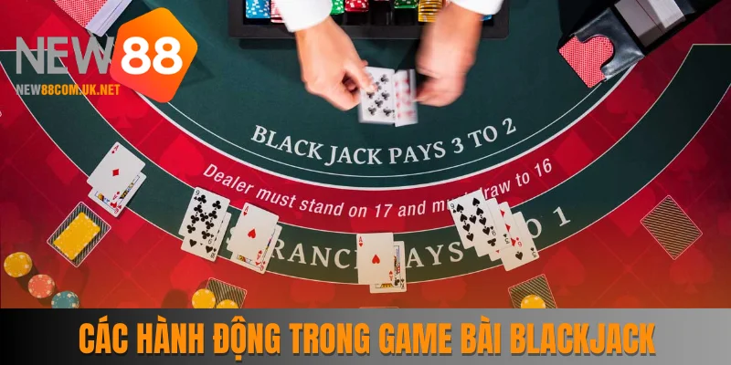Các hành động trong game bài Blackjack