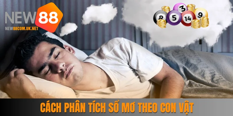 Cách phân tích sổ mơ khi mơ thấy con vật