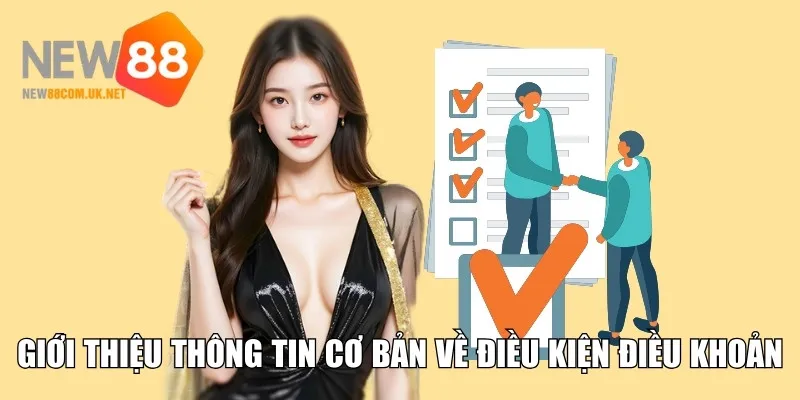 Giới thiệu đôi nét cơ bản về điều kiện điều khoản