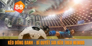 Kèo Đồng Banh - Bí Quyết Soi Kèo Theo Chuyên Gia New88