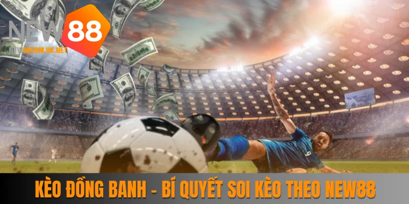 Kèo Đồng Banh - Bí Quyết Soi Kèo Theo Chuyên Gia New88