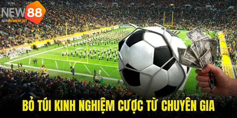 Khám phá kinh nghiệm nhận định bóng đá hay từ chuyên gia