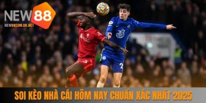 Soi Kèo Nhà Cái Hôm Nay Chuẩn Xác Nhất Cho Newbie 2025