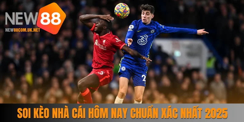 Soi Kèo Nhà Cái Hôm Nay Chuẩn Xác Nhất Cho Newbie 2025