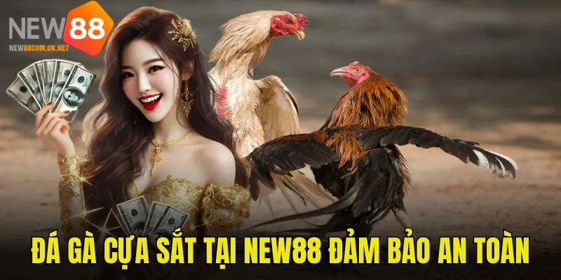 Tham gia giải trí uy tín, an toàn và minh bạch