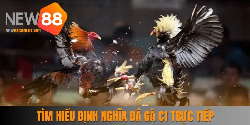 Tìm hiểu định nghĩa đá gà C1 online