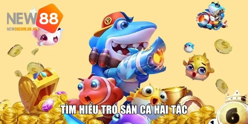 Tìm hiểu trò săn cá Hải Tặc