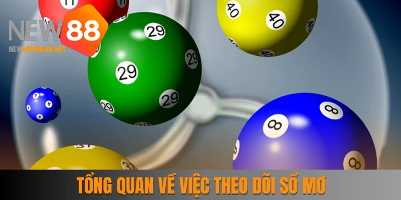 Tổng quan về việc theo dõi sổ mơ