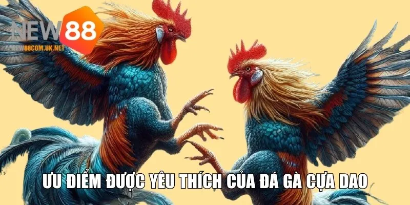 Ưu điểm được yêu thích của đá gà cựa dao